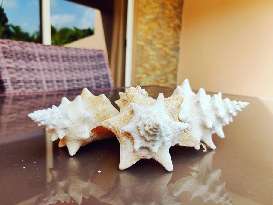 Aruba Family Oasis 2Br Pool 3Min Walk To Eagle Beach 棕榈滩 外观 照片