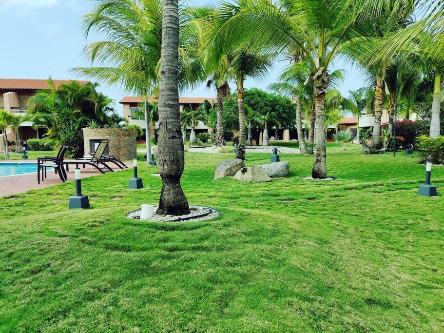 Aruba Family Oasis 2Br Pool 3Min Walk To Eagle Beach 棕榈滩 外观 照片