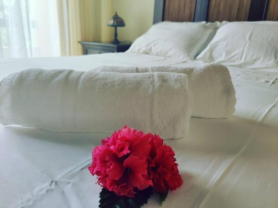Aruba Family Oasis 2Br Pool 3Min Walk To Eagle Beach 棕榈滩 外观 照片