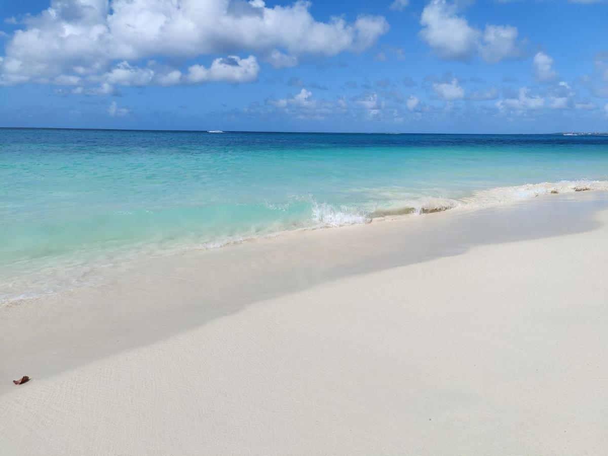 Aruba Family Oasis 2Br Pool 3Min Walk To Eagle Beach 棕榈滩 外观 照片