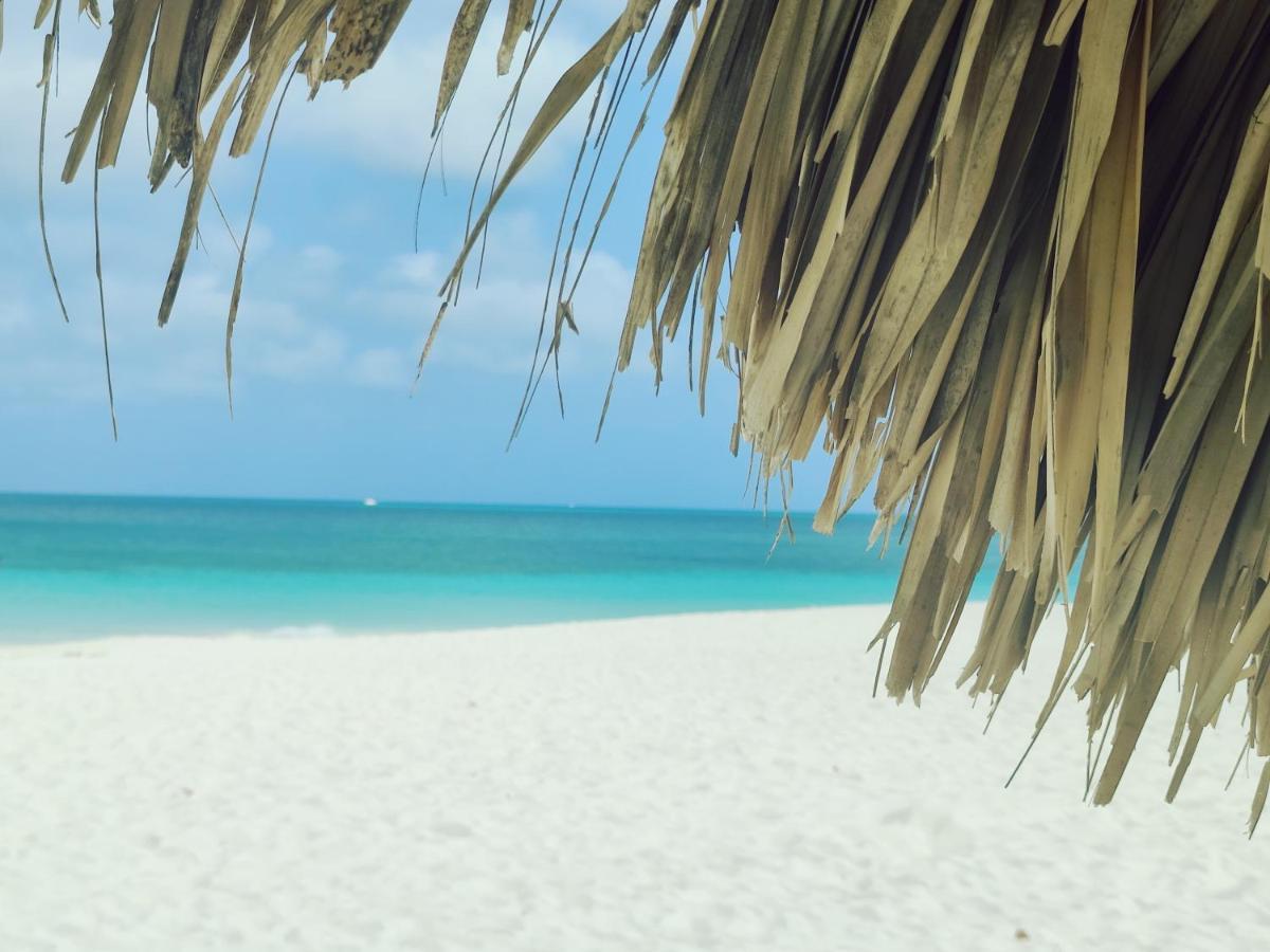 Aruba Family Oasis 2Br Pool 3Min Walk To Eagle Beach 棕榈滩 外观 照片
