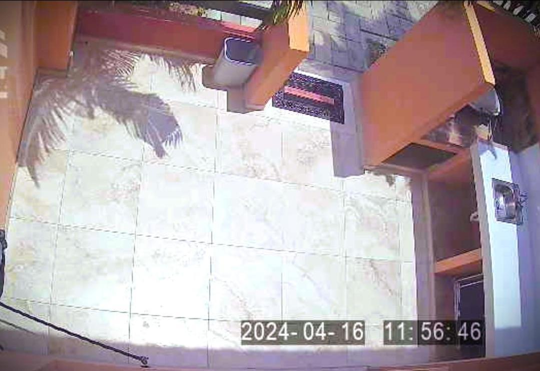 Aruba Family Oasis 2Br Pool 3Min Walk To Eagle Beach 棕榈滩 外观 照片
